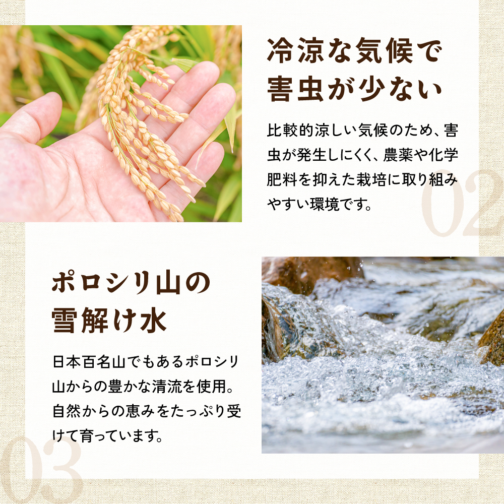 留萌市産 ななつぼし 10kg (5kg×2袋) 令和7年産 精米 米 こめ 北海道 おいしい ブランド米 もちもち 送料無料 おとりよせ R037-004