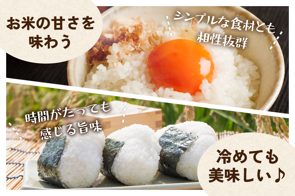 北海道 留萌管内産 ゆめぴりか 5kg R004-002