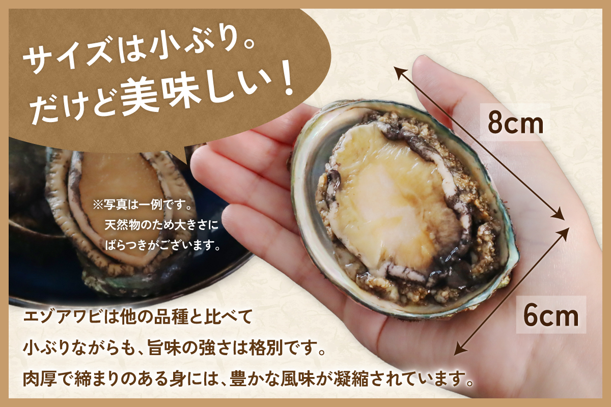 	【産地直送】北海道留萌産天然冷凍エゾアワビ3～5個 冷凍 魚貝 貝 殻付 海鮮 海産物 海の幸 魚介 魚介類 刺身 刺し身 お刺身 アワビ 鮑 エゾアワビ 留萌産 R006-008 