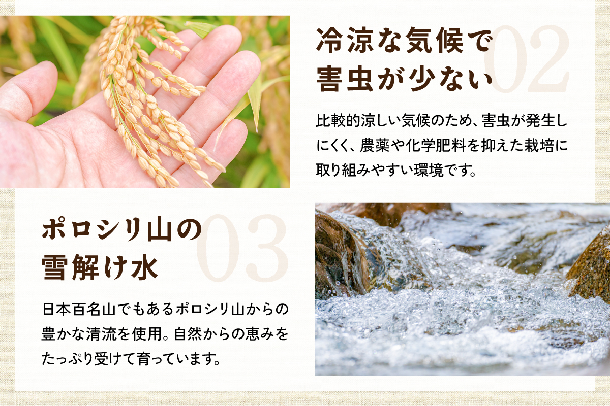 北海道 留萌管内産 ななつぼし6kg(3kg×2袋) R004-001
