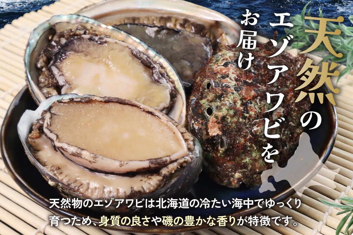 	【産地直送】北海道留萌産天然冷凍エゾアワビ3～5個 冷凍 魚貝 貝 殻付 海鮮 海産物 海の幸 魚介 魚介類 刺身 刺し身 お刺身 アワビ 鮑 エゾアワビ 留萌産 R006-008 