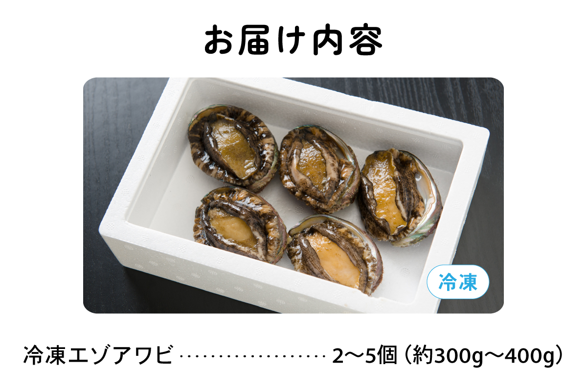 	【産地直送】北海道留萌産天然冷凍エゾアワビ3～5個 冷凍 魚貝 貝 殻付 海鮮 海産物 海の幸 魚介 魚介類 刺身 刺し身 お刺身 アワビ 鮑 エゾアワビ 留萌産 R006-008 