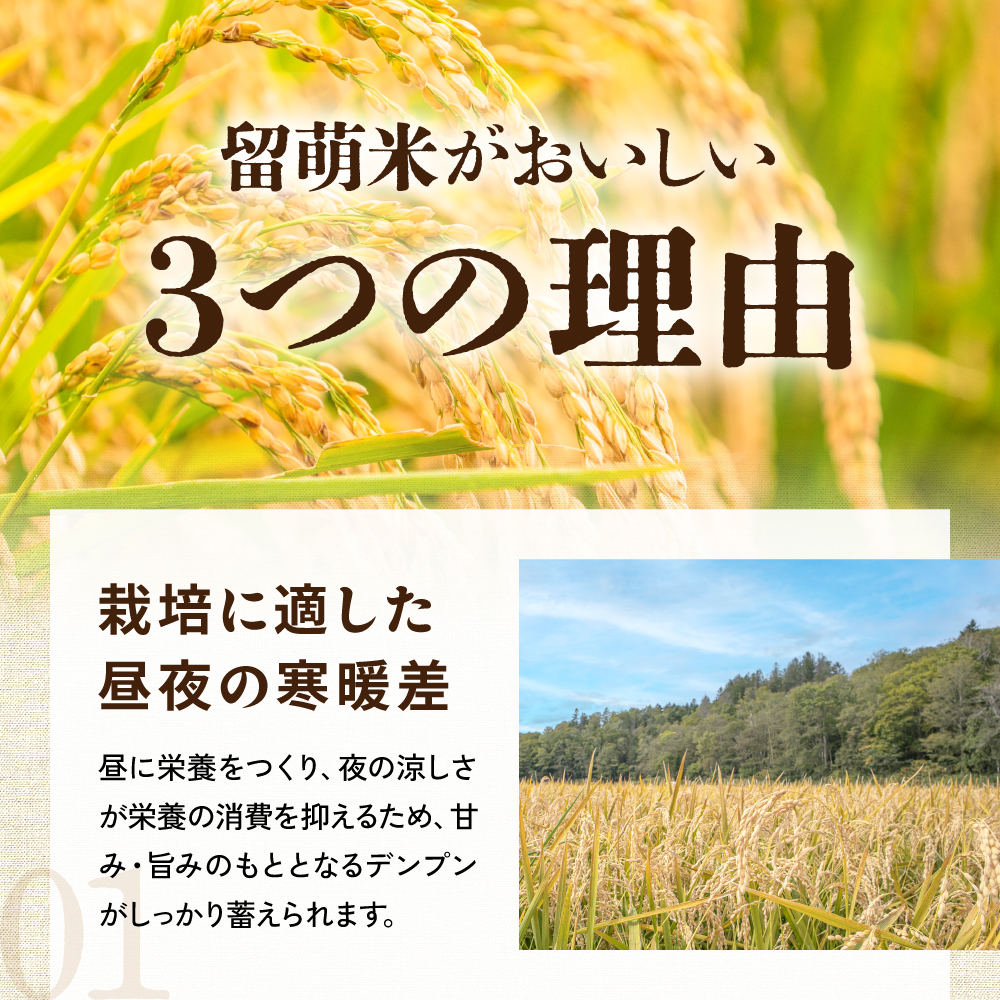 留萌市産 ななつぼし 5kg 令和7年産 精米 米 こめ 北海道 おいしい ブランド米 もちもち 送料無料 おとりよせ R037-003