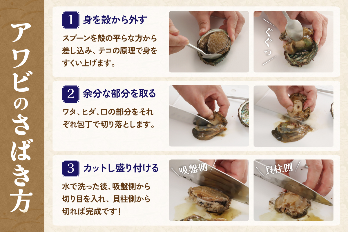 	【産地直送】北海道留萌産天然冷凍エゾアワビ3～5個 冷凍 魚貝 貝 殻付 海鮮 海産物 海の幸 魚介 魚介類 刺身 刺し身 お刺身 アワビ 鮑 エゾアワビ 留萌産 R006-008 