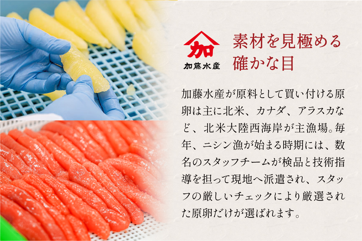 訳あり 辛子明太子（切子）2kg！　つまみ おつまみ ごはんのお供 惣菜 おかず パスタ お茶漬け 珍味 海鮮 海産物 海の幸 魚介 魚介類 訳あり 訳アリ わけあり おせち