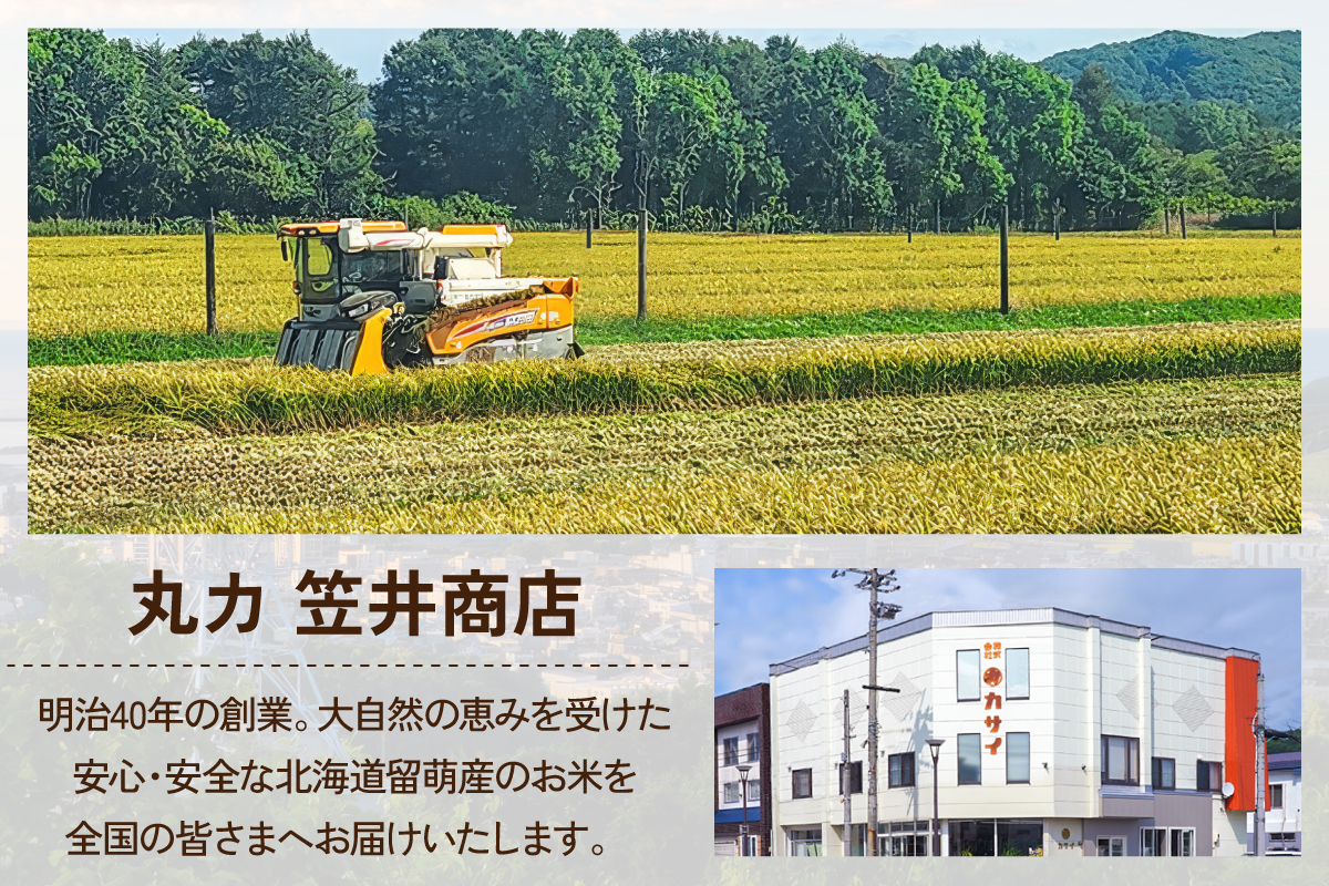 北海道 留萌管内産 ななつぼし6kg(3kg×2袋) R004-001
