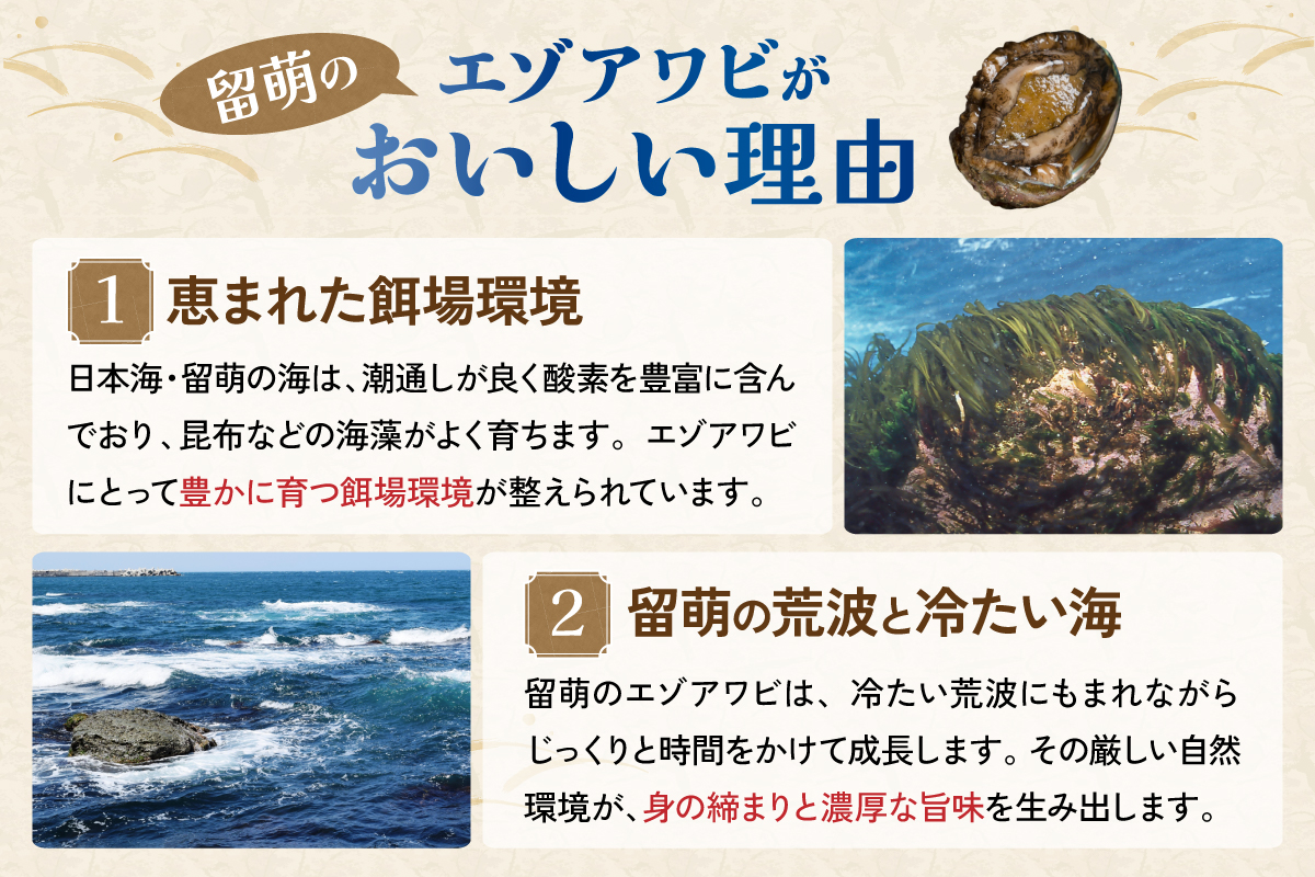 	【産地直送】北海道留萌産天然冷凍エゾアワビ3～5個 冷凍 魚貝 貝 殻付 海鮮 海産物 海の幸 魚介 魚介類 刺身 刺し身 お刺身 アワビ 鮑 エゾアワビ 留萌産 R006-008 