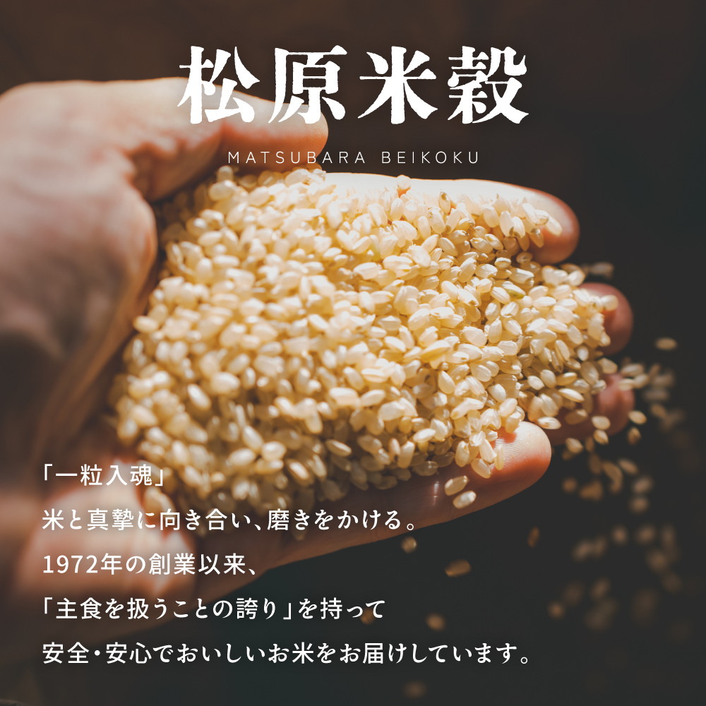 留萌市産 ななつぼし 5kg 令和7年産 精米 米 こめ 北海道 おいしい ブランド米 もちもち 送料無料 おとりよせ R037-003