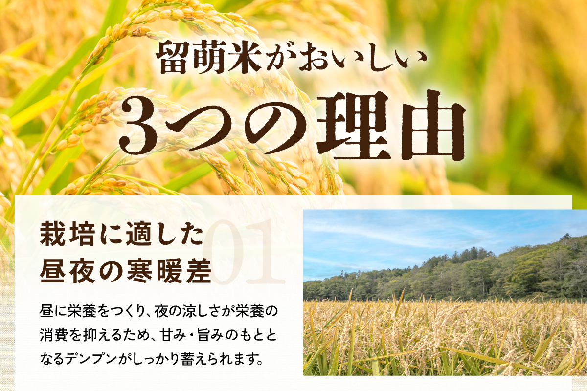 北海道 留萌管内産 ゆめぴりか 10kg(5kg×2袋) R004-003
