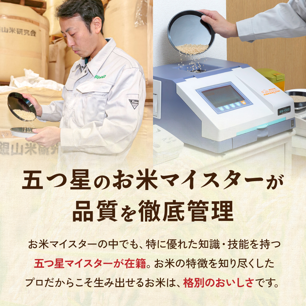 留萌市産 ゆめぴりか 10kg（5kg×2袋）令和7年産 精米 米 こめ 北海道 おいしい ブランド米 もちもち 送料無料 おとりよせ R037-002
