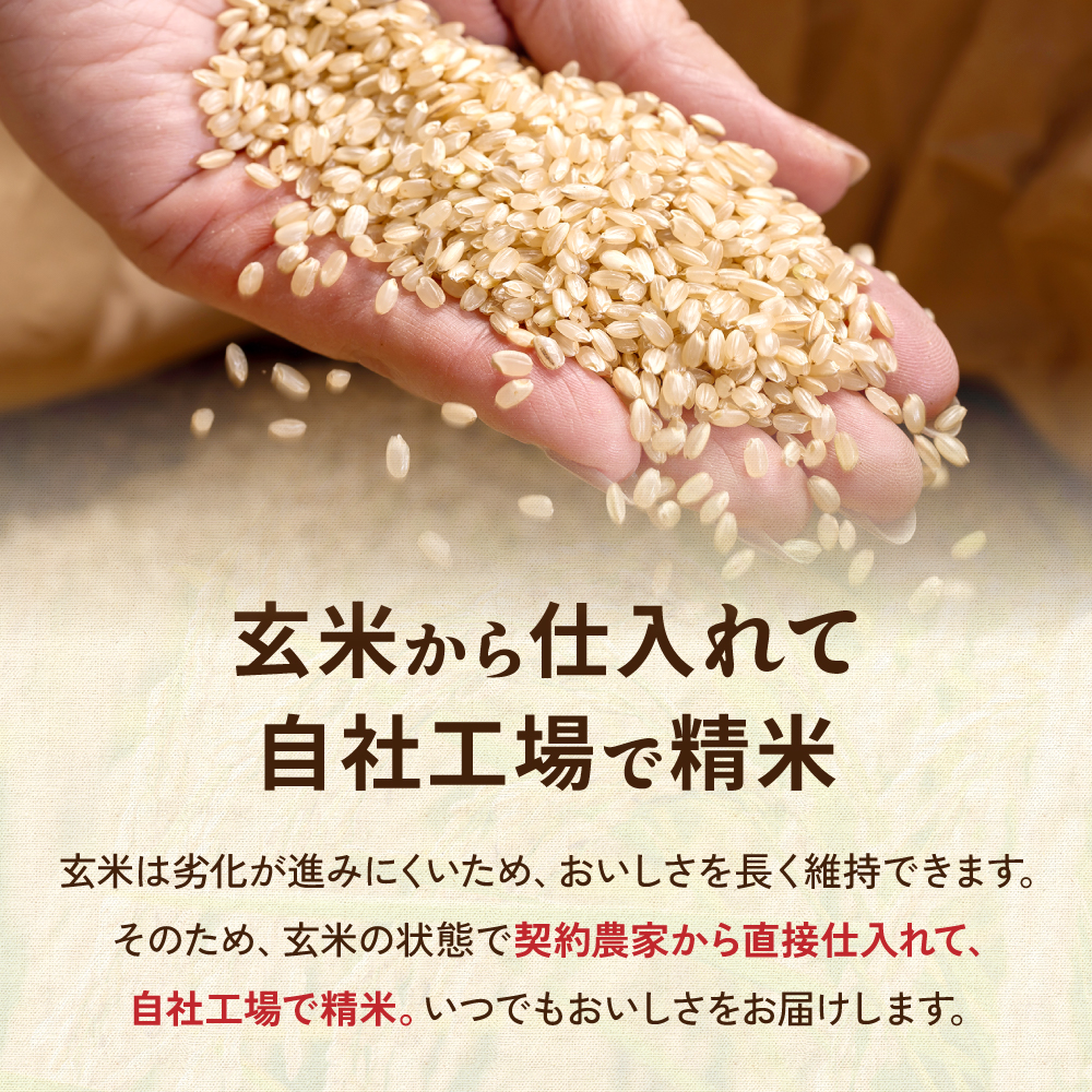 留萌市産 ななつぼし 5kg 令和7年産 精米 米 こめ 北海道 おいしい ブランド米 もちもち 送料無料 おとりよせ R037-003