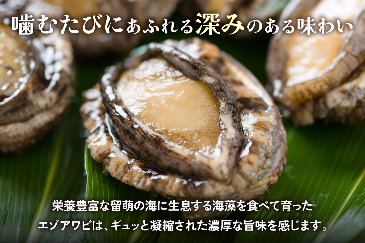 	【産地直送】北海道留萌産天然冷凍エゾアワビ3～5個 冷凍 魚貝 貝 殻付 海鮮 海産物 海の幸 魚介 魚介類 刺身 刺し身 お刺身 アワビ 鮑 エゾアワビ 留萌産 R006-008 