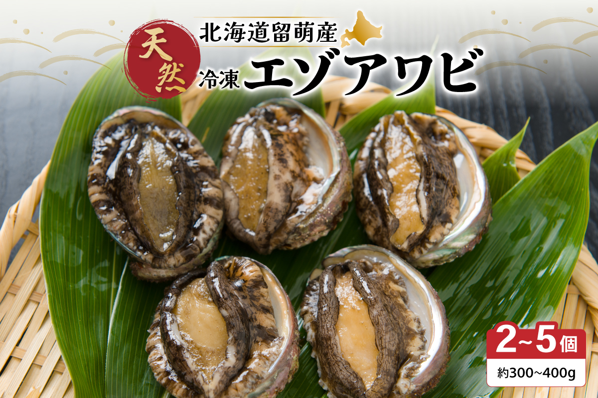 	【産地直送】北海道留萌産天然冷凍エゾアワビ3～5個 冷凍 魚貝 貝 殻付 海鮮 海産物 海の幸 魚介 魚介類 刺身 刺し身 お刺身 アワビ 鮑 エゾアワビ 留萌産 R006-008 