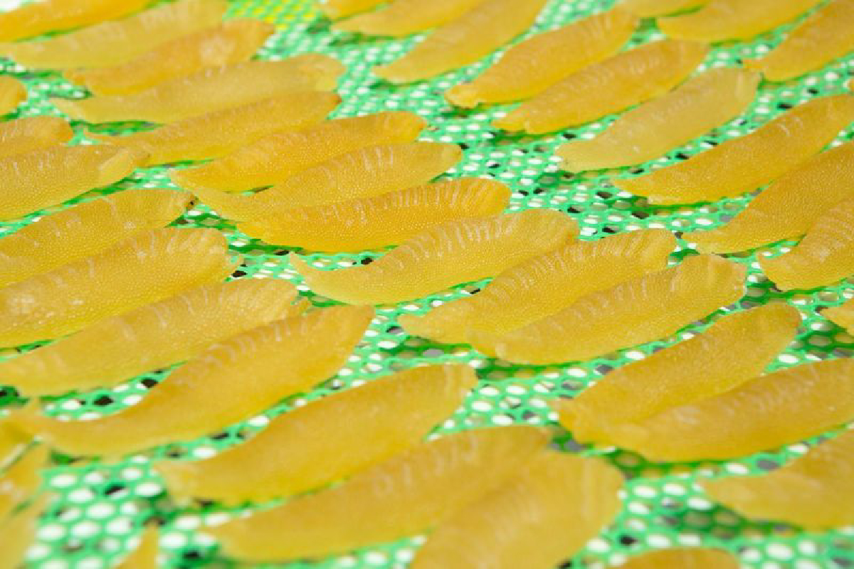 【井原水産】干数の子（特特特特）100g　数の子　おつまみ　珍味　ご飯のお供　お酒のお供