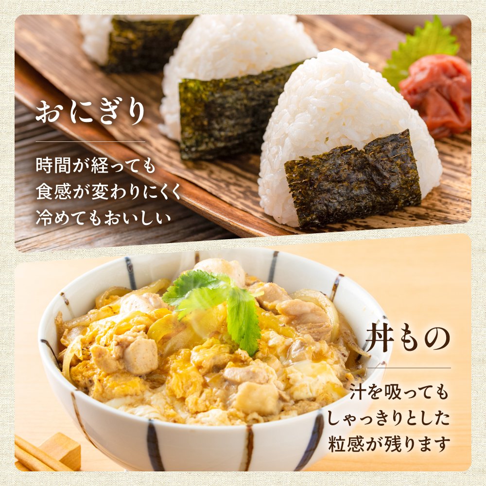 留萌市産 ななつぼし 5kg 令和7年産 精米 米 こめ 北海道 おいしい ブランド米 もちもち 送料無料 おとりよせ R037-003