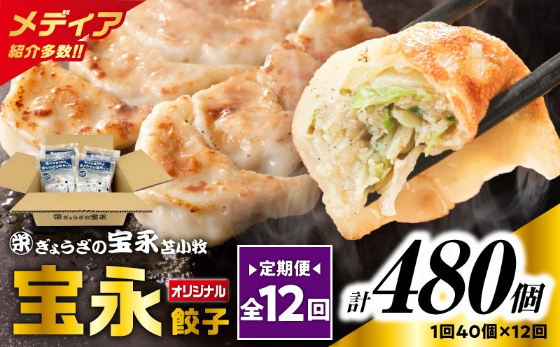 【全12回定期便（毎月）】宝永餃子10個入セット（宝永餃子10個入×4袋）合計1.0kg 定期便 定期 惣菜 総菜 ギョウザ 餃子 冷凍餃子 焼き餃子 水餃子 おかず