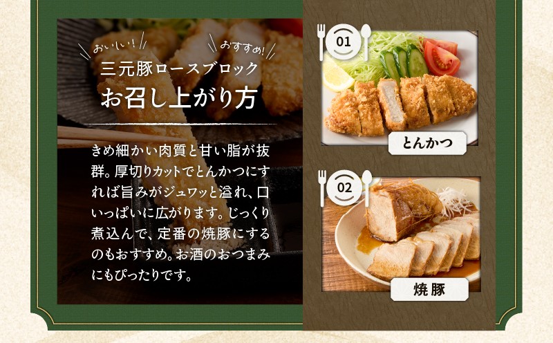 【全6回 毎月定期便】日本の米育ち平田牧場三元豚ロースブロック 600g 定期便 定期 肉 お肉 にく 豚 豚肉 ブタ ぶた 三元豚