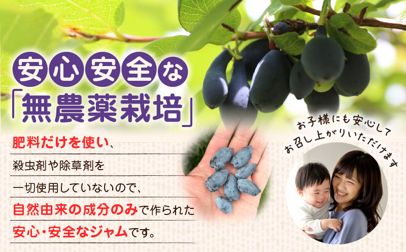 苫小牧市民還元 ハスカップジャム ハスカップ ジャム スイーツ フルーツ 無農薬 食パン ヨーグルト トースト クラッカー 甘い