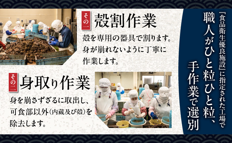 無添加生ムラサキウニ 塩水パック 100g 生ムラサキウニ 生うに うに ウニ 雲丹 無添加 海産物 季節限定 生食用 ムラサキウニ