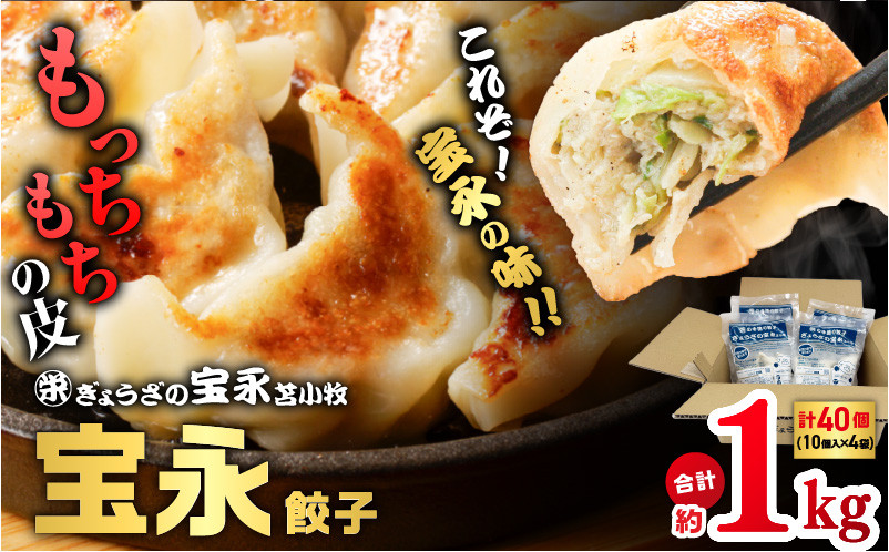 【全3回定期便（4ヶ月毎）】宝永餃子10個入セット（宝永餃子10個入×4袋）合計1.0kg 定期便 定期 惣菜 総菜 ギョウザ 餃子 冷凍餃子 焼き餃子 水餃子 おかず