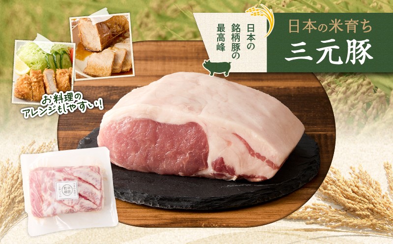 【全3回 毎月定期便】日本の米育ち平田牧場三元豚ロースブロック 600g 定期便 定期 肉 お肉 にく 豚 豚肉 ブタ ぶた 三元豚