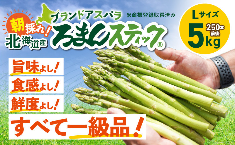 ロマンス農園 ろまんスティック Lサイズ 5kg アスパラガス 野菜 やさい Lサイズ 旨味 うま味 新鮮 やわらかい みずみずしい 糖度