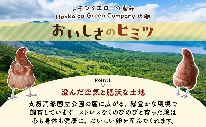 【全3回定期便】平飼いたまご 定期便 定期 卵 たまご 平飼い卵 卵かけごはん HokkaidoGreenCompany ふるさと納税 北海道 苫小牧市