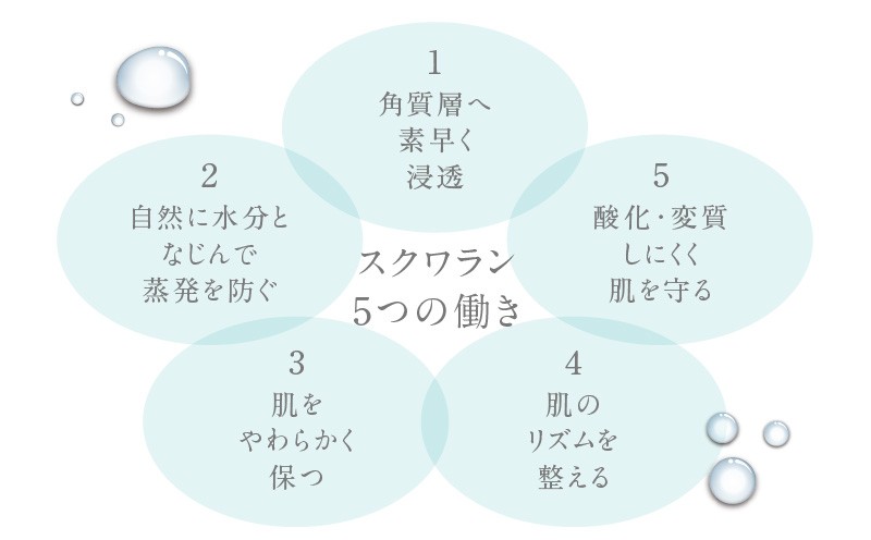 HABA スクワランII（60ml） スキンケア 保湿 乾燥 乳液 クリーム 毛穴 植物由来 美容液 美容オイル オイル
