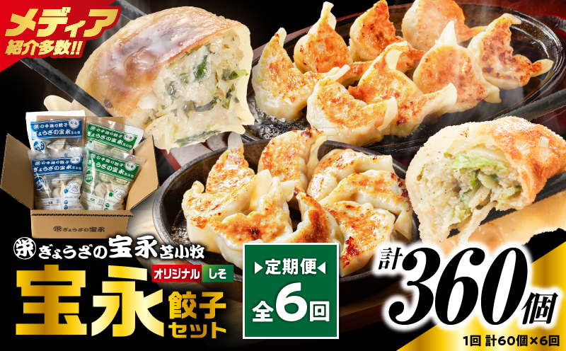 【定期便・全6回 毎月】手包み餃子 ぎょうざの宝永 しそ餃子60個セット（宝永餃子15個入×2袋・しそ餃子15個入×2袋） 定期便 定期 惣菜 総菜 ギョウザ しそ餃子 餃子 冷凍餃子 焼き餃子 水餃子