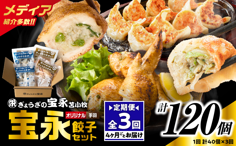 【定期便・全3回 4ヶ月毎】手包み餃子 ぎょうざの宝永 手羽餃子40個セット（宝永餃子15個入×2袋・手羽餃子5個入×2袋） 定期便 定期 惣菜 総菜 餃子 ぎょうざ ギョウザ 手羽餃子 冷凍餃子 冷凍