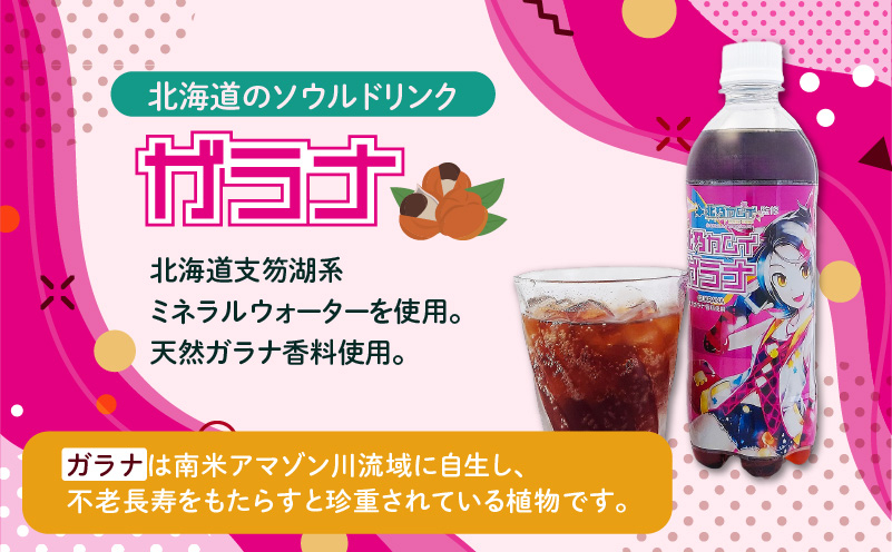 【ガラナ 500ml×24本】北乃カムイ 飲料 炭酸飲料 炭酸ドリンク 炭酸ジュース ジュース ガラナ ガラナドリンク ガラナジュース 炭酸 ソウルドリンク