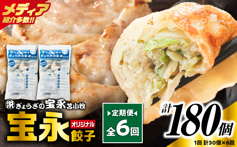 【定期便・全6回 毎月】手包み餃子 ぎょうざの宝永 宝永餃子30個セット（宝永餃子15個入×2袋） 定期便 定期 惣菜 総菜 餃子 ぎょうざ ギョウザ 冷凍餃子 冷凍