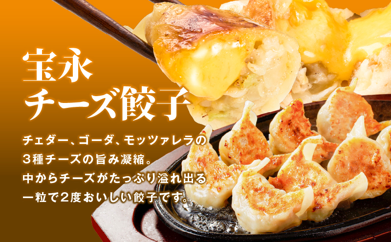 【定期便・全6回 毎月】手包み餃子 ぎょうざの宝永 チーズ餃子60個セット（宝永餃子15個入×2袋・チーズ餃子15個入×2袋） 定期便 定期 惣菜 総菜 餃子 ぎょうざ ギョウザ 冷凍餃子 冷凍