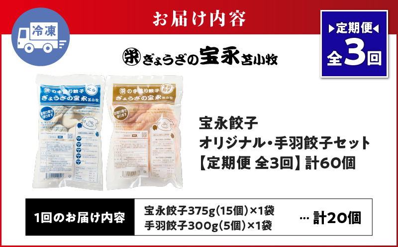 【定期便・全3回 毎月】手包み餃子 ぎょうざの宝永 手羽餃子20個セット（宝永餃子15個入×1袋・手羽餃子5個入×1袋） 定期便 定期 惣菜 総菜 餃子 ぎょうざ ギョウザ 手羽餃子 冷凍餃子 冷凍