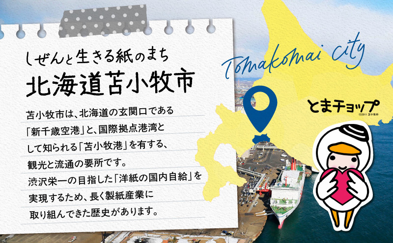 北海道苫小牧市応援寄附金（返礼品なし）10,000円 寄附 寄付 寄附金 寄付金 応援寄附金 応援寄付金 返礼品なし 雇用環境の整備 子育て環境の整備 移住促進