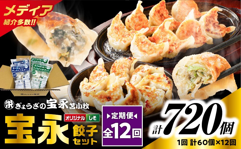 【全12回定期便（毎月）】ぎょうざの宝永 しそ餃子セット（宝永餃子 15個入×2袋＆しそ餃子 15個入×2袋）合計1.5kg 定期便 定期 惣菜 総菜 ギョウザ しそ餃子 餃子 冷凍餃子 焼き餃子 水餃子