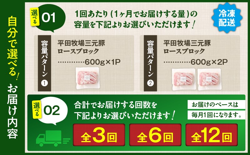 【全12回 毎月定期便】日本の米育ち平田牧場三元豚ロースブロック 600g 定期便 定期 肉 お肉 にく 豚 豚肉 ブタ ぶた 三元豚