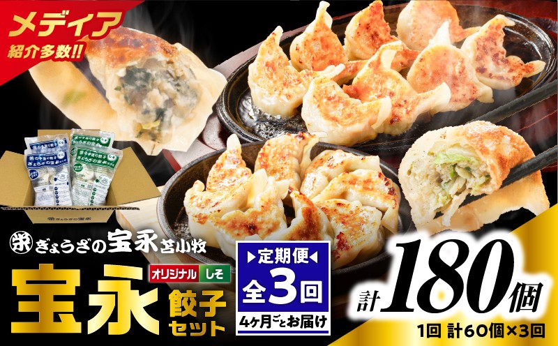 【全3回定期便（4ヶ月毎）】ぎょうざの宝永 しそ餃子セット（宝永餃子 15個入×2袋＆しそ餃子 15個入×2袋）合計1.5kg 定期便 定期 惣菜 総菜 ギョウザ しそ餃子 餃子 冷凍餃子 焼き餃子 水餃子