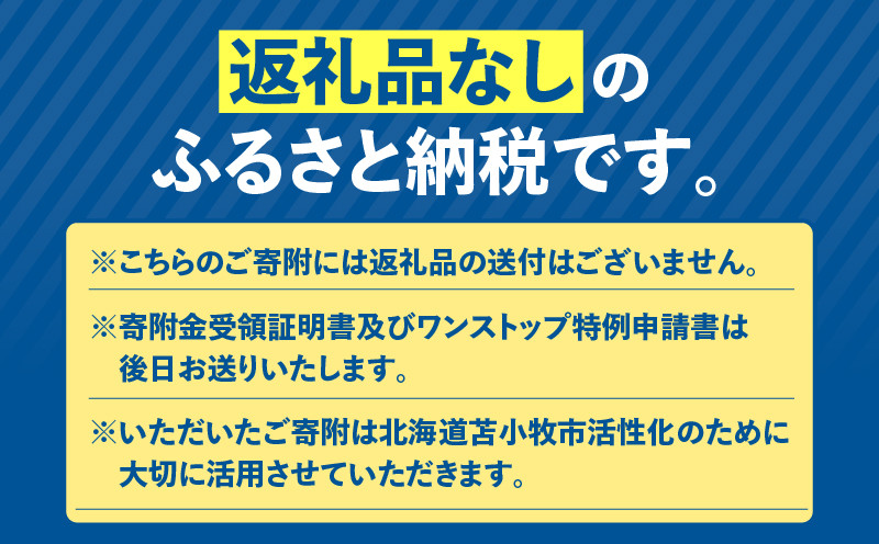 北海道苫小牧市応援寄附金（返礼品なし）5,000円 寄附 寄付 寄附金 寄付金 応援寄附金 応援寄付金 返礼品なし 雇用環境の整備 子育て環境の整備 移住促進