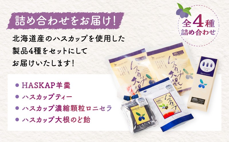 【5営業日以内に発送】【ハスカップ商品詰め合わせ】 HASKAP羊羹 ハスカップ ティーバッグ 濃縮顆粒 ロニセラ 大根 のど飴 ようかん フレーバーティー あめ