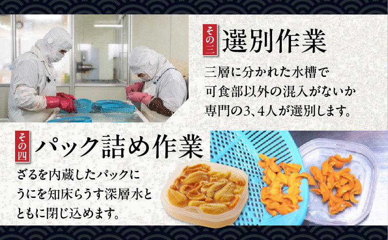 無添加生ムラサキウニ 塩水パック 100g 生ムラサキウニ 生うに うに ウニ 雲丹 無添加 海産物 季節限定 生食用 ムラサキウニ