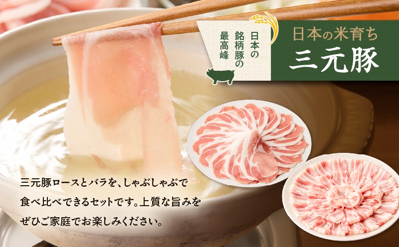 【全3回 毎月定期便】日本の米育ち平田牧場 三元豚ロース 250g・バラしゃぶしゃぶロース 250g 定期便 定期 肉 お肉 にく 豚 豚肉 ブタ ぶた 三元豚