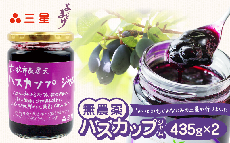 カナダ産 苫小牧市民還元 ハスカップジャム 435g（2瓶） ハスカップ ジャム スイーツ フルーツ 無農薬 食パン ヨーグルト トースト クラッカー 甘い