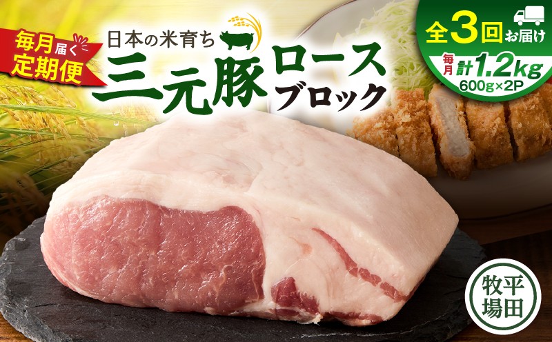 【全3回 毎月定期便】日本の米育ち平田牧場三元豚ロースブロック 1.2kg 定期便 定期 肉 お肉 にく 豚 豚肉 ブタ ぶた 三元豚
