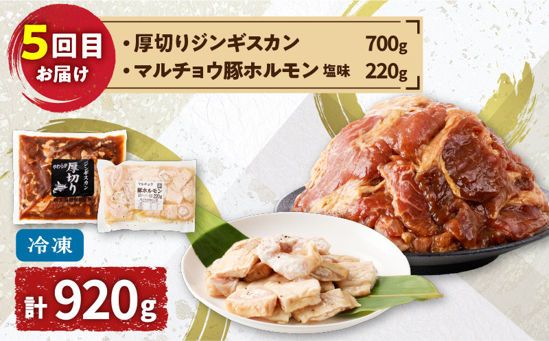 【全5回定期便】厚切りジンギスカン＋ホルモン食べ比べ6種セット 定期便 定期 豚 牛 羊 定期5回 ジンギスカン 厚切りジンギスカン 豚ホルモン ホルモン