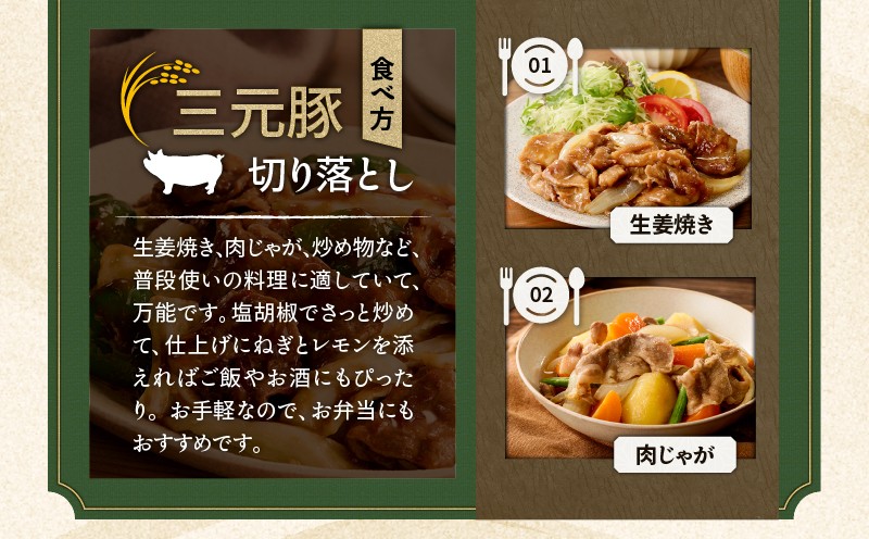 日本の米育ち平田牧場 三元豚切り落とし 500g×6パック（計3kg） 肉 お肉 にく 豚 豚肉 ブタ ぶた 三元豚 切り落とし 上質