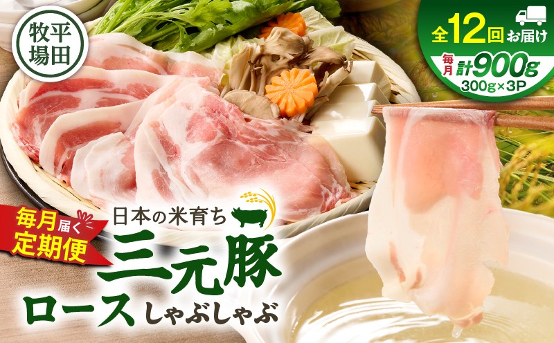 【全12回 毎月定期便】日本の米育ち平田牧場 三元豚ロースしゃぶしゃぶ 定期便 定期 肉 お肉 にく 豚 豚肉 ブタ ぶた 三元豚