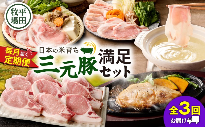 【全3回 毎月定期便】日本の米育ち平田牧場の満足セット！ 定期便 定期 肉 お肉 にく 豚 豚肉 ブタ ぶた 三元豚