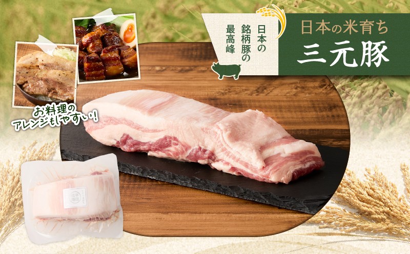 【全3回 毎月定期便】日本の米育ち平田牧場三元豚バラブロック 1.2kg 定期便 定期 肉 お肉 にく 豚 豚肉 ブタ ぶた 三元豚