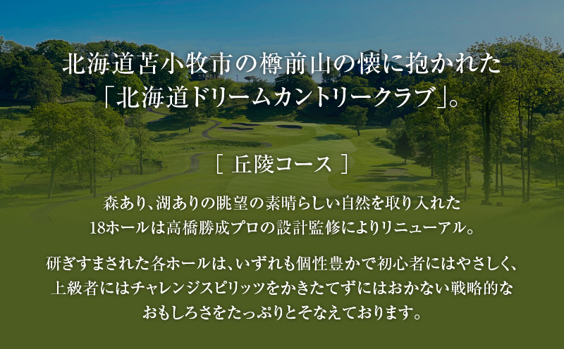 北海道ドリームカントリークラブ ゴルフ場利用券 15,000円分 ゴルフ 利用券 体験 チケット プレーチケット 観光 ゴルフ場 北海道ドリームカントリークラブ 苫小牧観光協会 ふるさと納税
